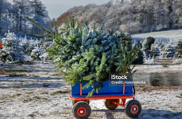 vozík